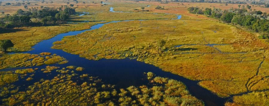 Botswana Untouched