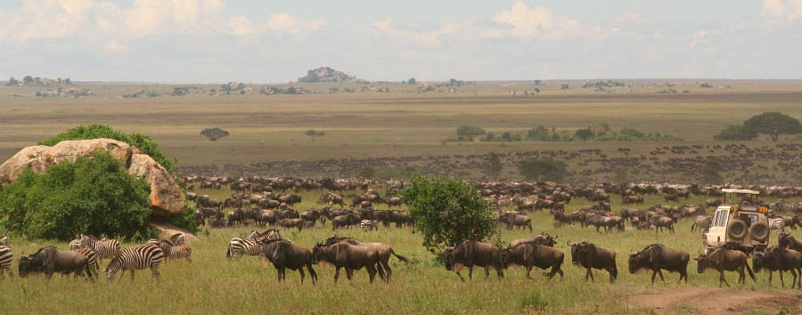 East Africa Migration Discover