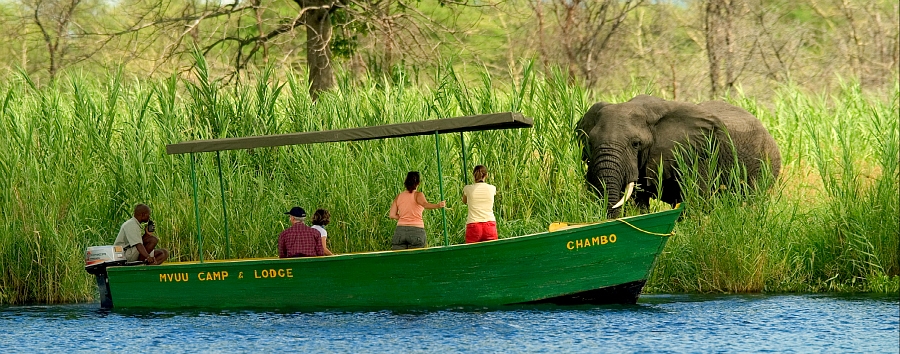 Sud Malawi: safari e foreste